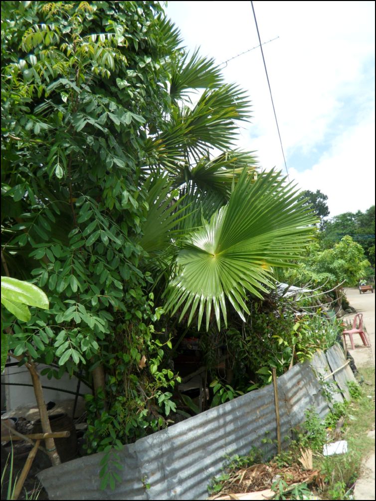 photo10 (5)